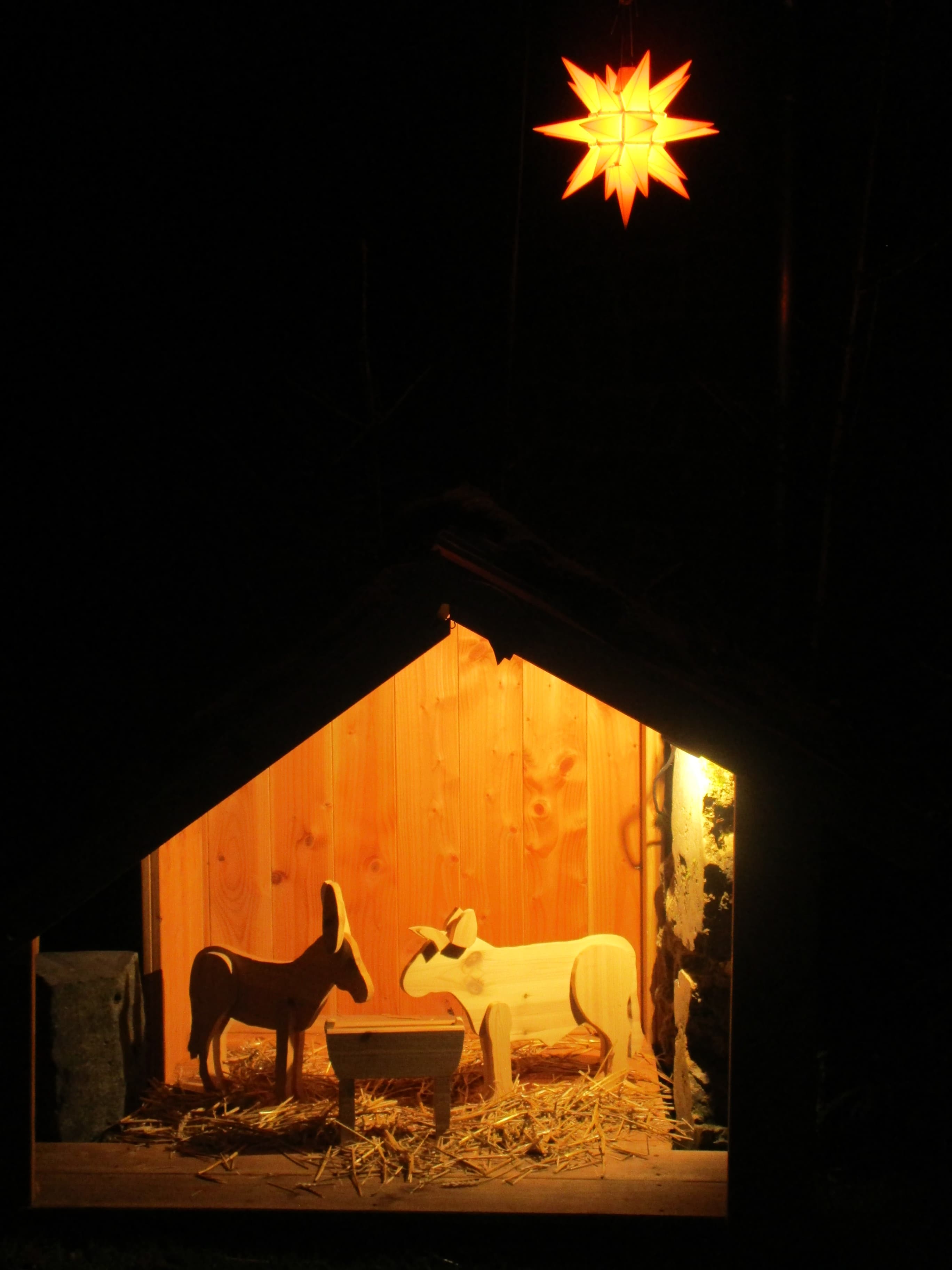 Gallery Image 11