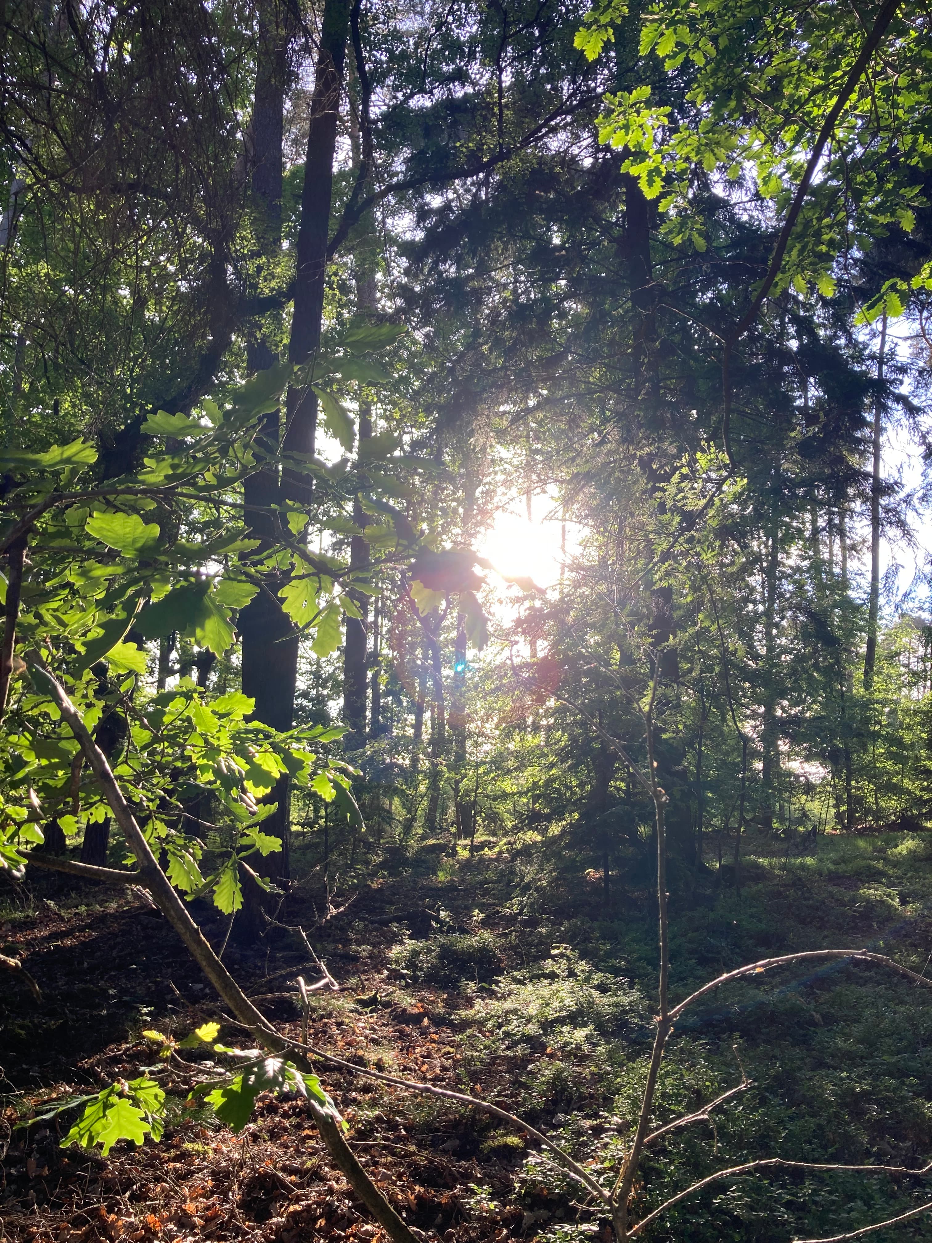 Naturführungen
