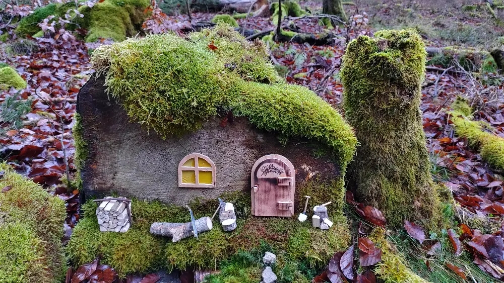 Gallery Image 17