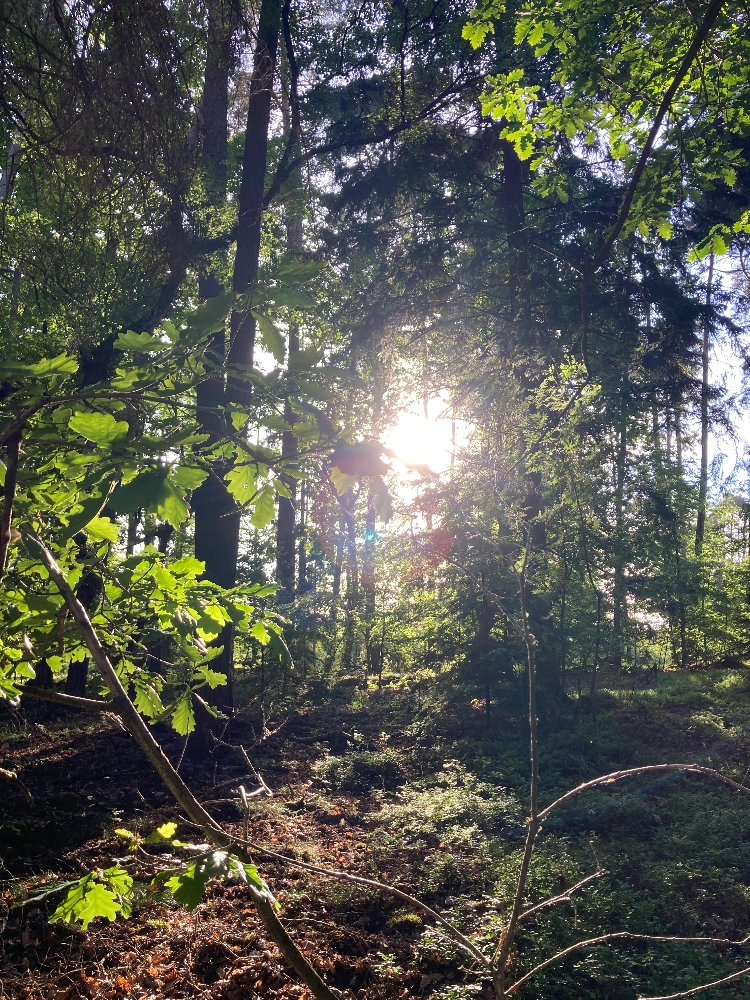 Naturführungen